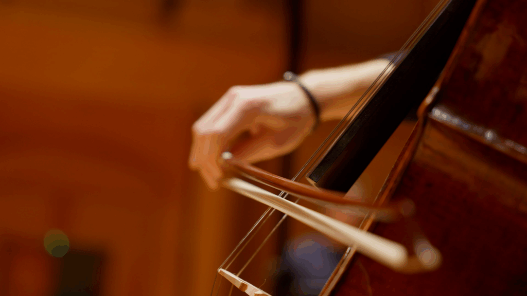 pret-instrument-cello-invest